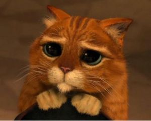 � �������� ������ ������ ����